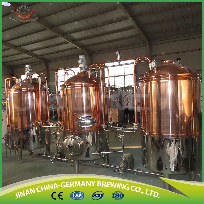 300L Beer Brewery Equipment
